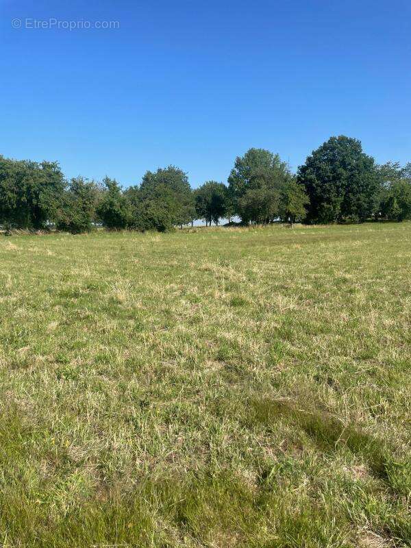 Terrain à SAINT-REMY-LES-CHEVREUSE