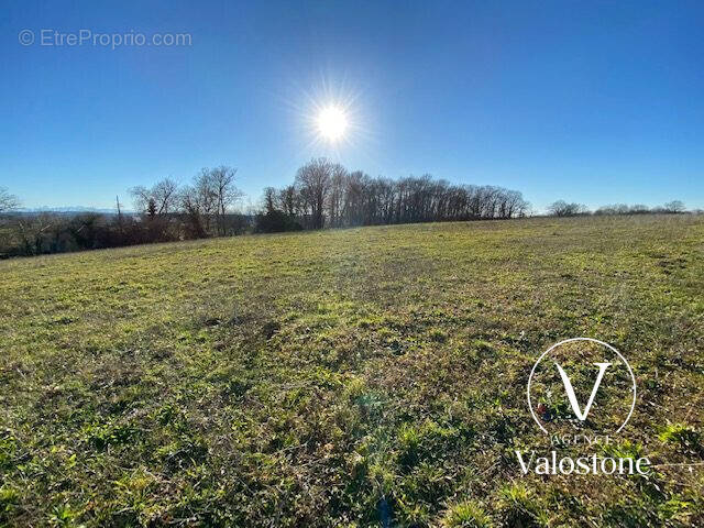 Terrain à MONSEGUR