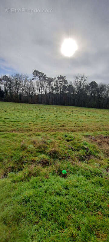 Terrain 3099m² à mussidan - photo 2