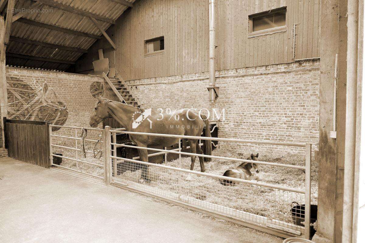 Maison à PREUSEVILLE