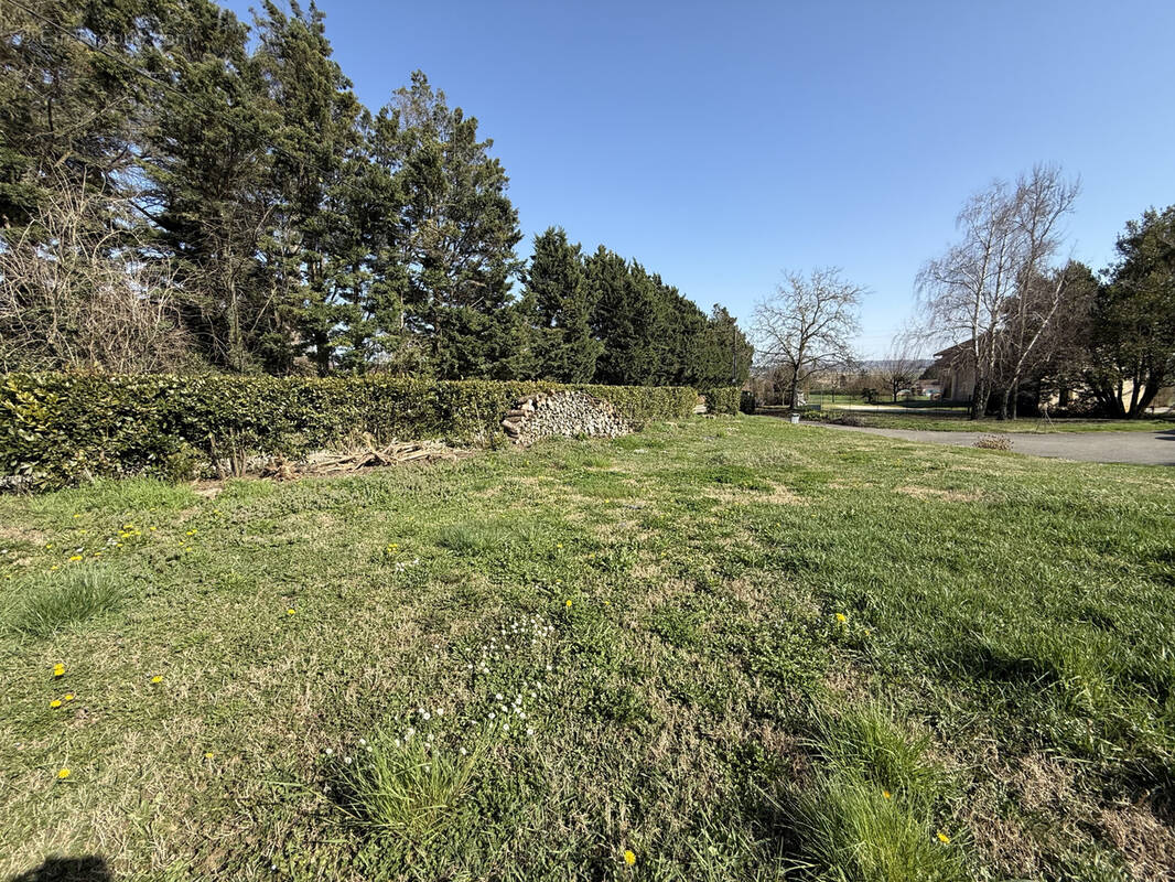 Terrain à CHONAS-L'AMBALLAN