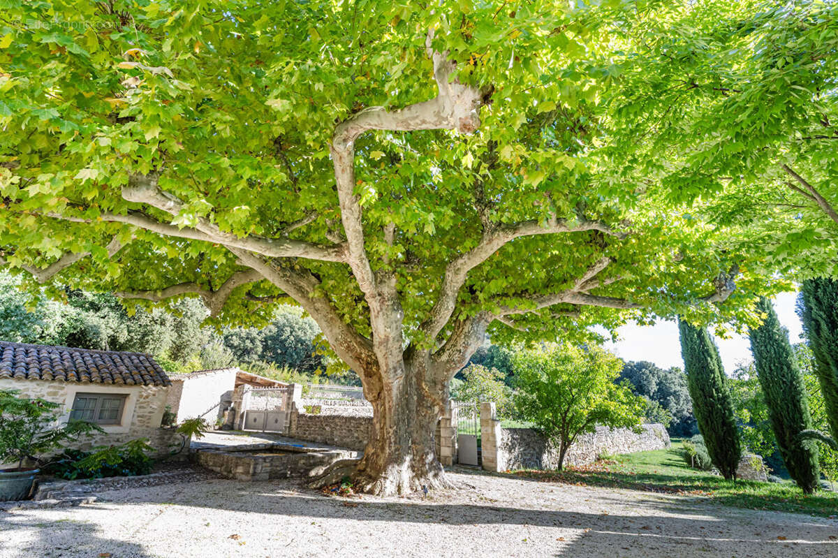 A vendre L'une des plus belles propriétés de la Drôme Provençale - photo 6