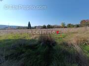 Terrain à ROQUECOURBE