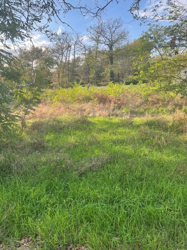 Terrain à LE TEMPLE