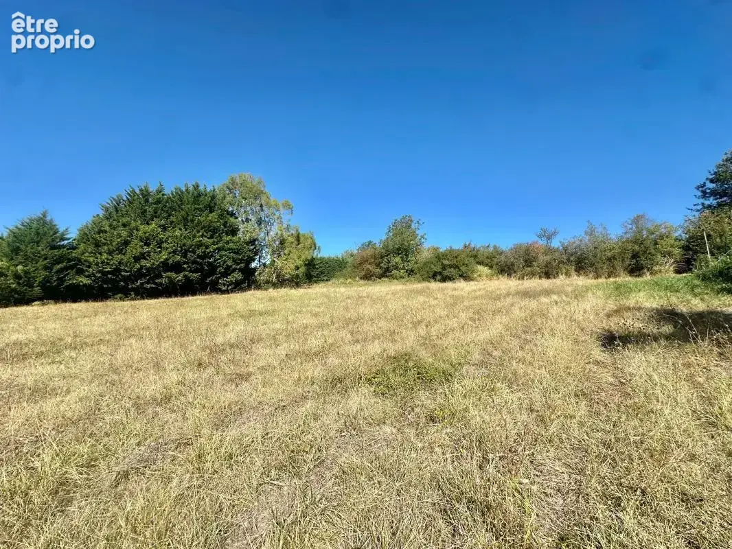 Terrain constructible de 4 278 m² – environnement calme - photo 4