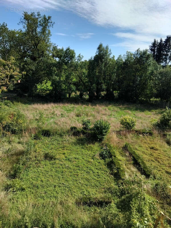 beau terrain de plus de 2000 m2 - Maison à VILLOTTE-DEVANT-LOUPPY