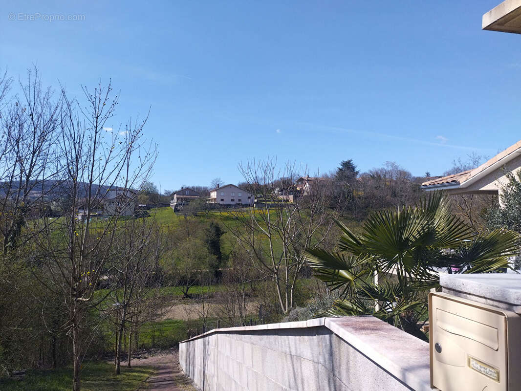 Terrain à LA ROCHE-VINEUSE