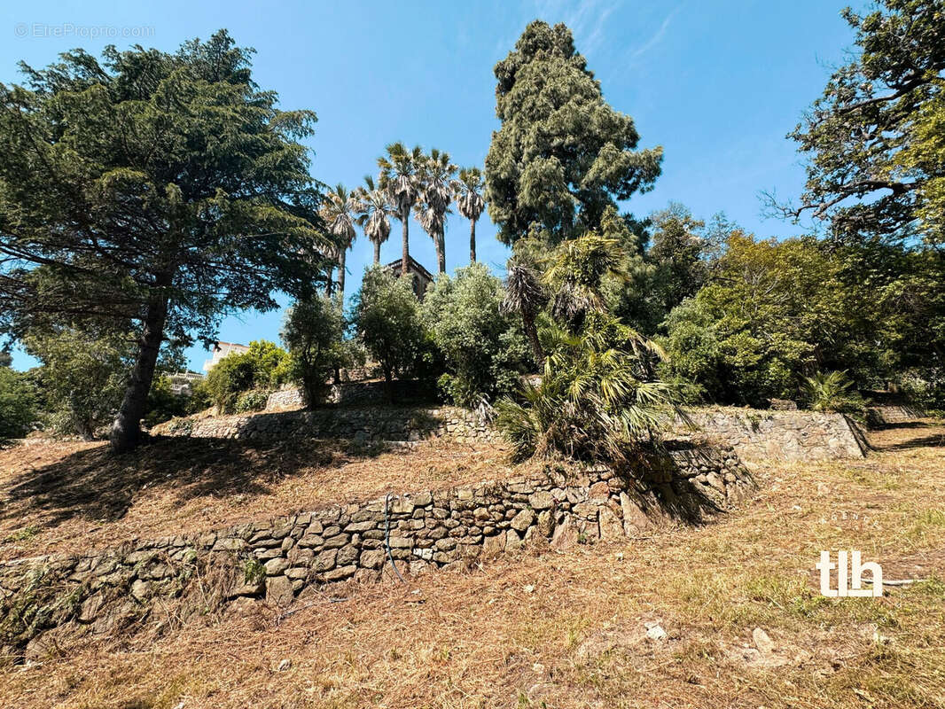 Terrain à VALLAURIS