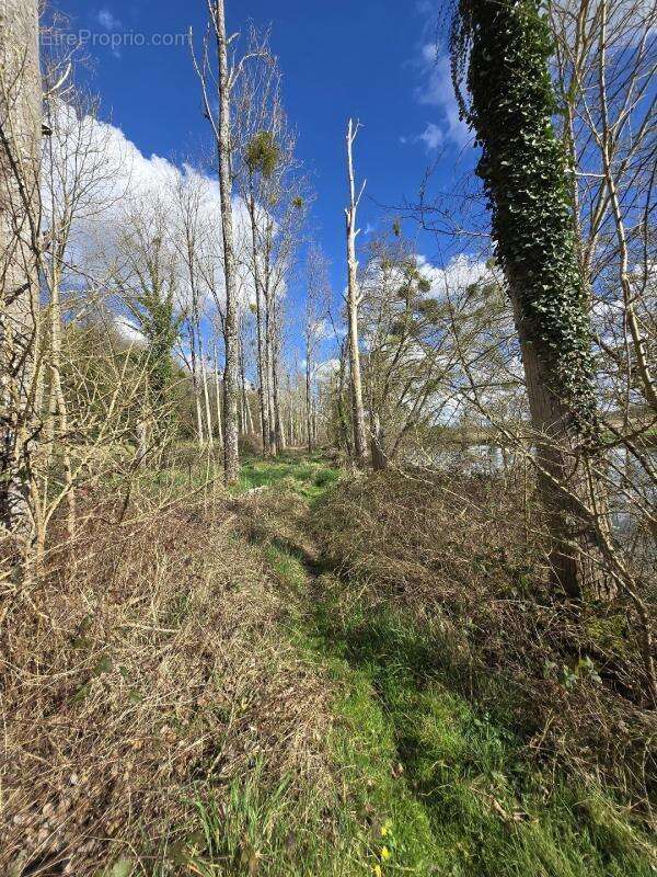 Terrain à FONTGOMBAULT