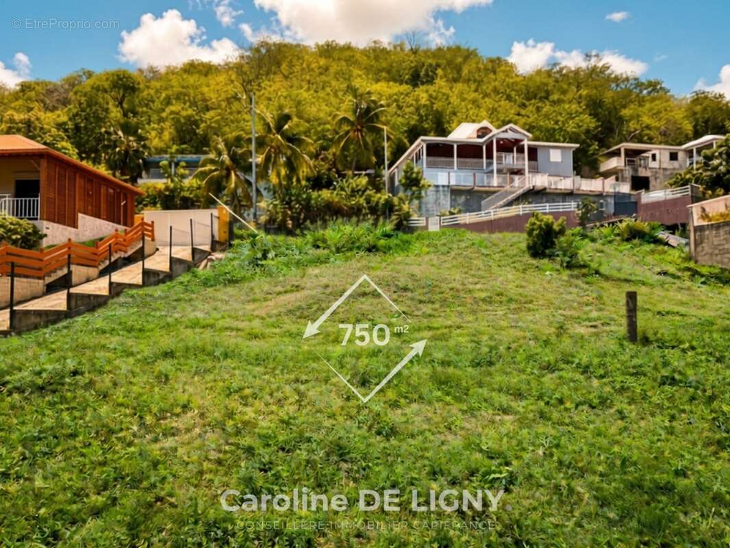 Terrain 750 m² Deshaies Bas Vent - Secteur recherché - photo 2