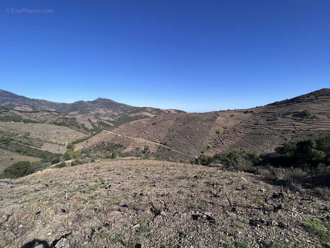 Terrain à BANYULS-SUR-MER