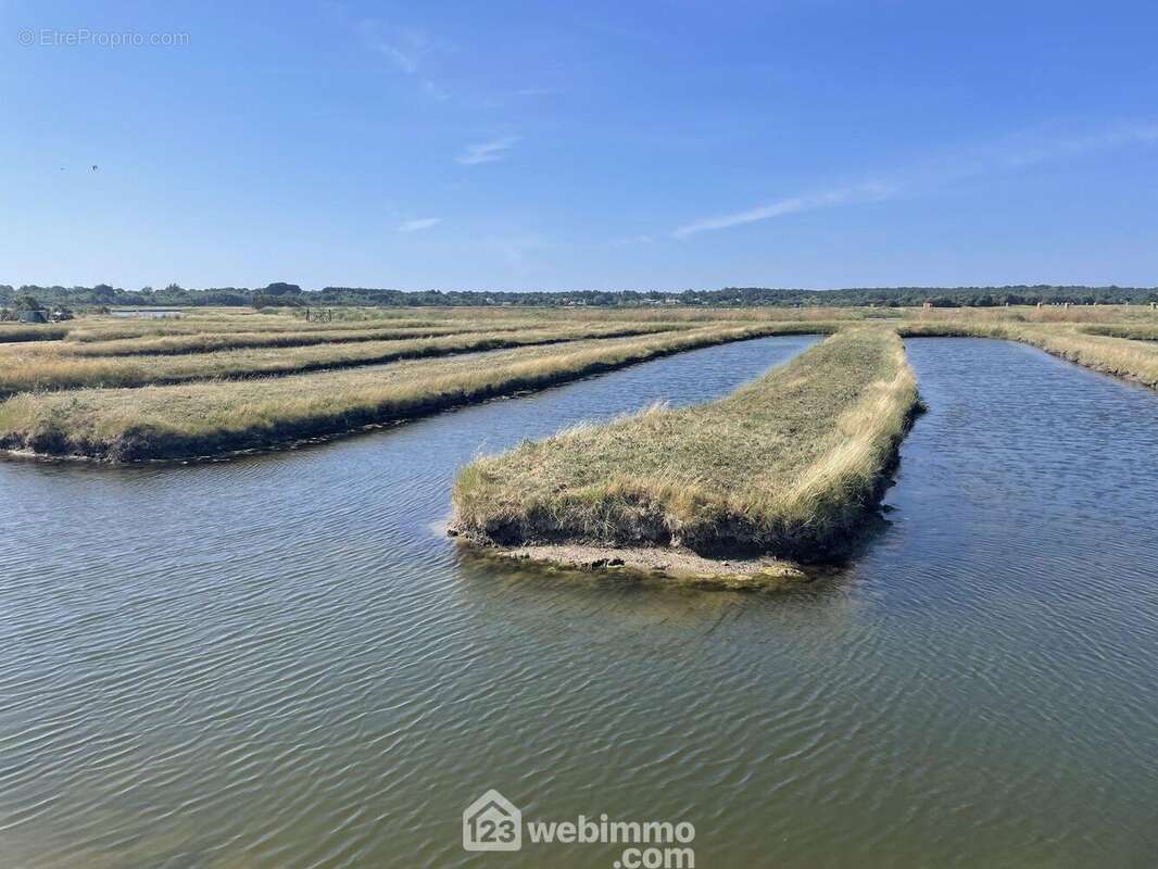 Les berges sont végétalisées. - Terrain à JARD-SUR-MER