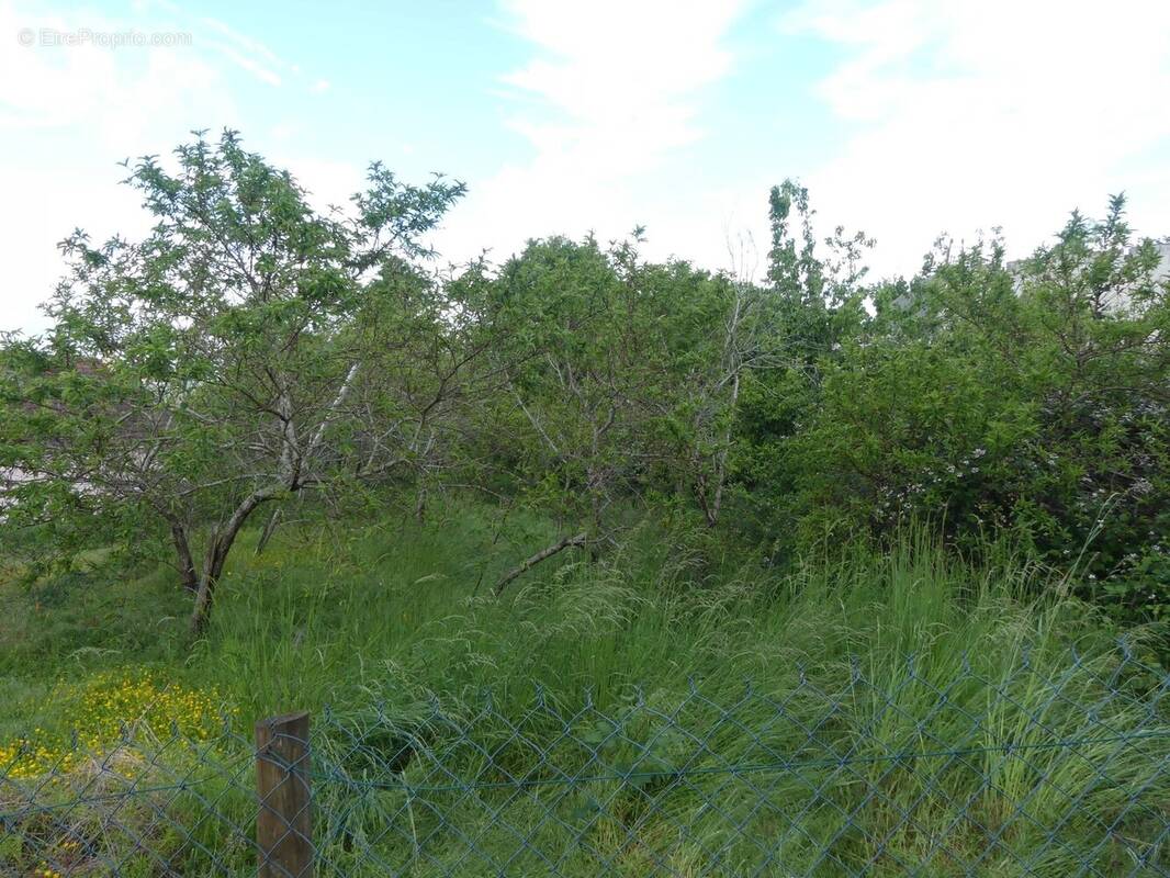 Terrain à LE CREUSOT