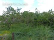 Terrain à LE CREUSOT