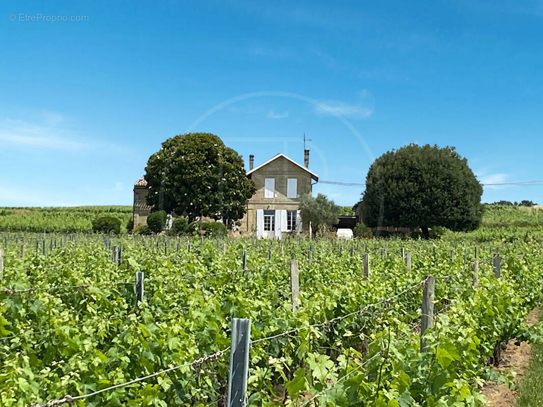 Maison à SAINT-EMILION