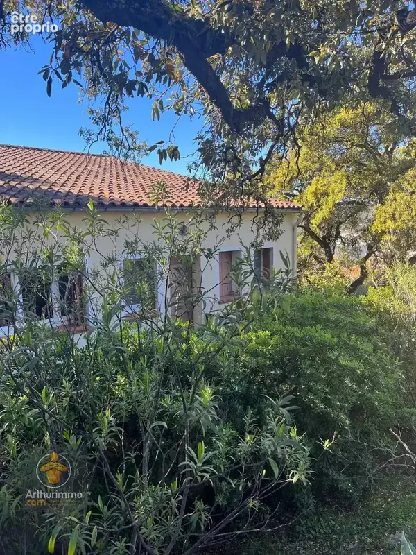 Villa avec vue mer, 3 chambres au Lavandou - photo 9