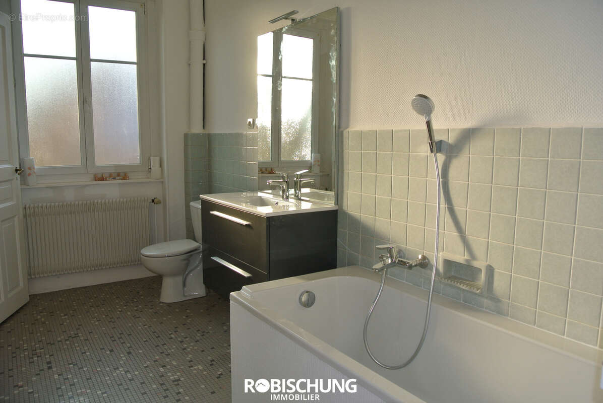 ALTKIRCH : Appartement dans maison de maître - photo 7