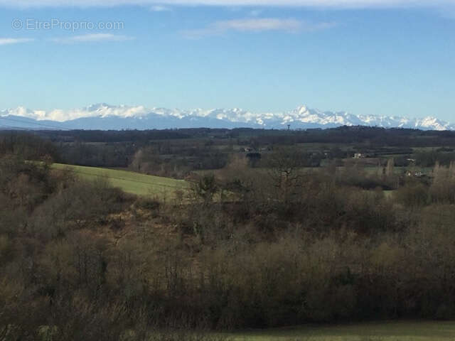 Maison Restaurée avec Goût, Gîte Indépendant, Piscine et Vue sur les Montagnes - photo 31
