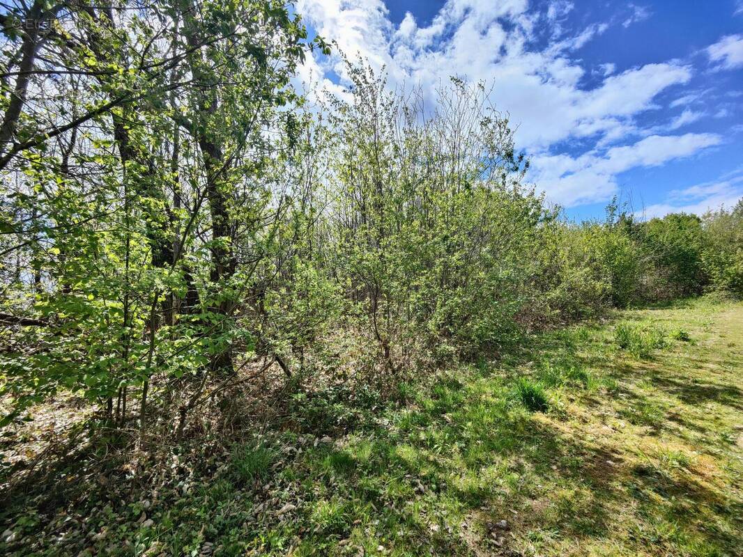 Terrain à MARSAC-SUR-L'ISLE