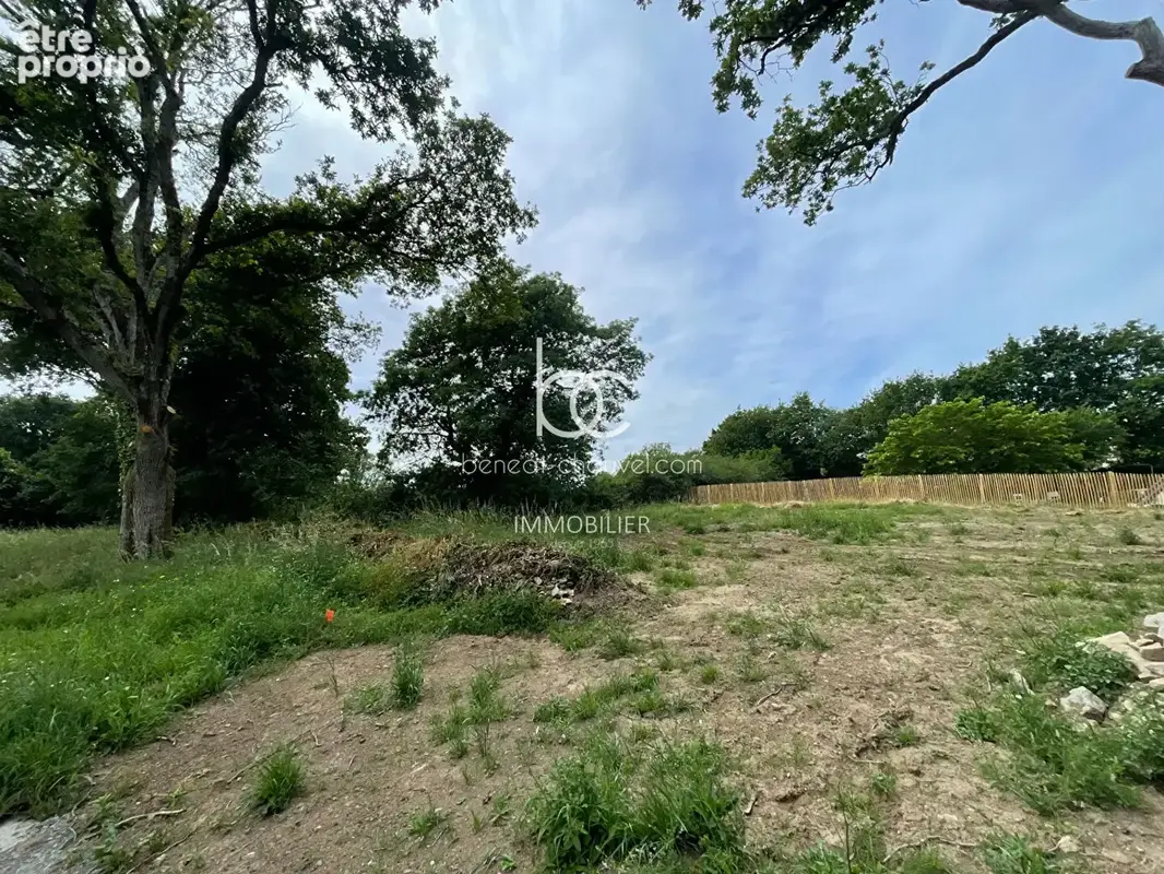 Terrain à SARZEAU
