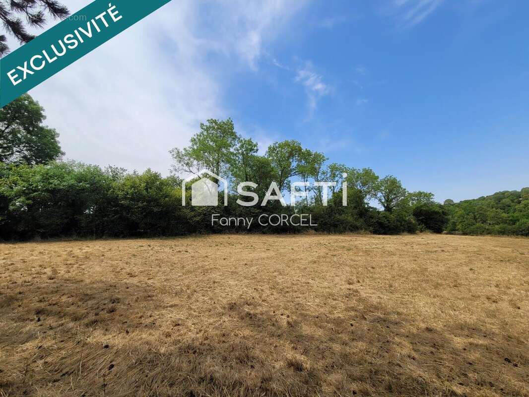 Terrain 12037 m² à Salives  - photo 2