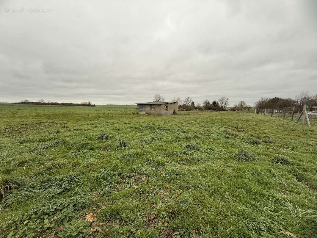 Terrain à BRETAGNOLLES