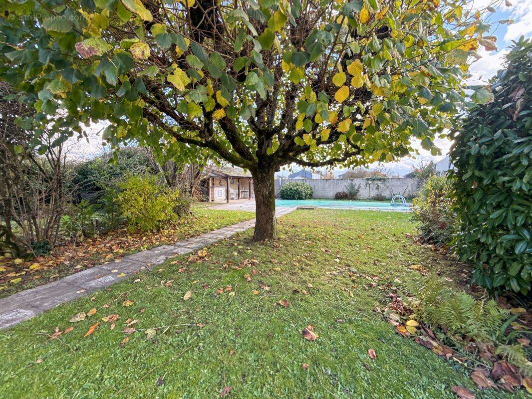 Maison à SAINT-JEAN-DE-BRAYE