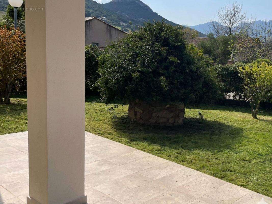 Maison à CALVI