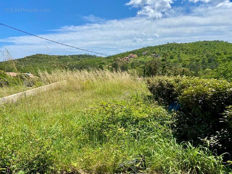 Dpt Corse (20), à vendre FAVONE appartement T3 de 53,60 m2 en rez de jardin plage à pied vue mer - photo 13