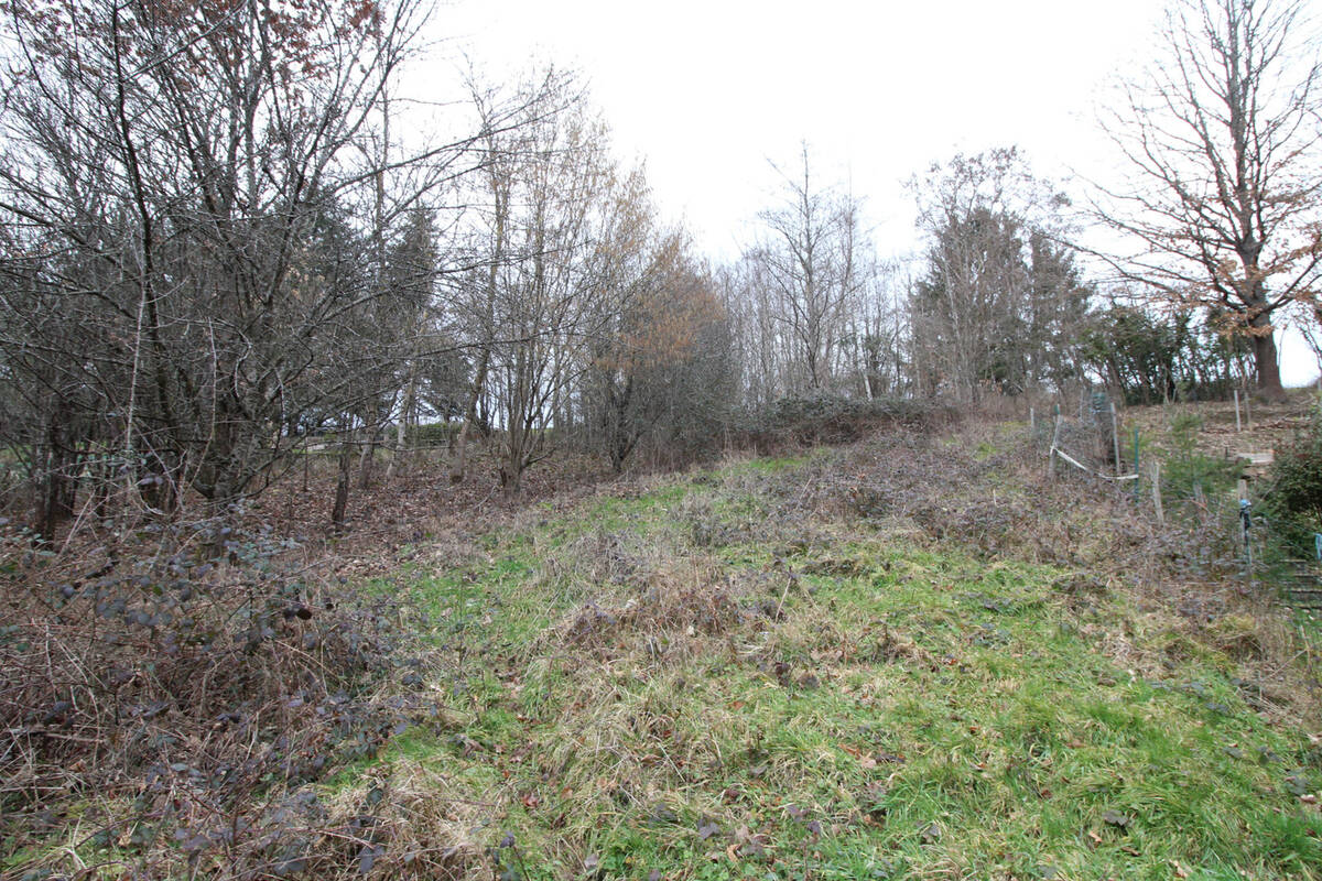 Terrain à BIRKENWALD