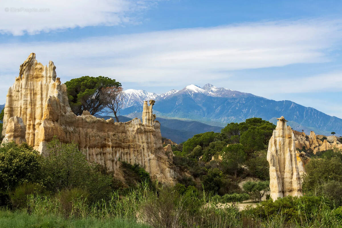 Terrain à ILLE-SUR-TET