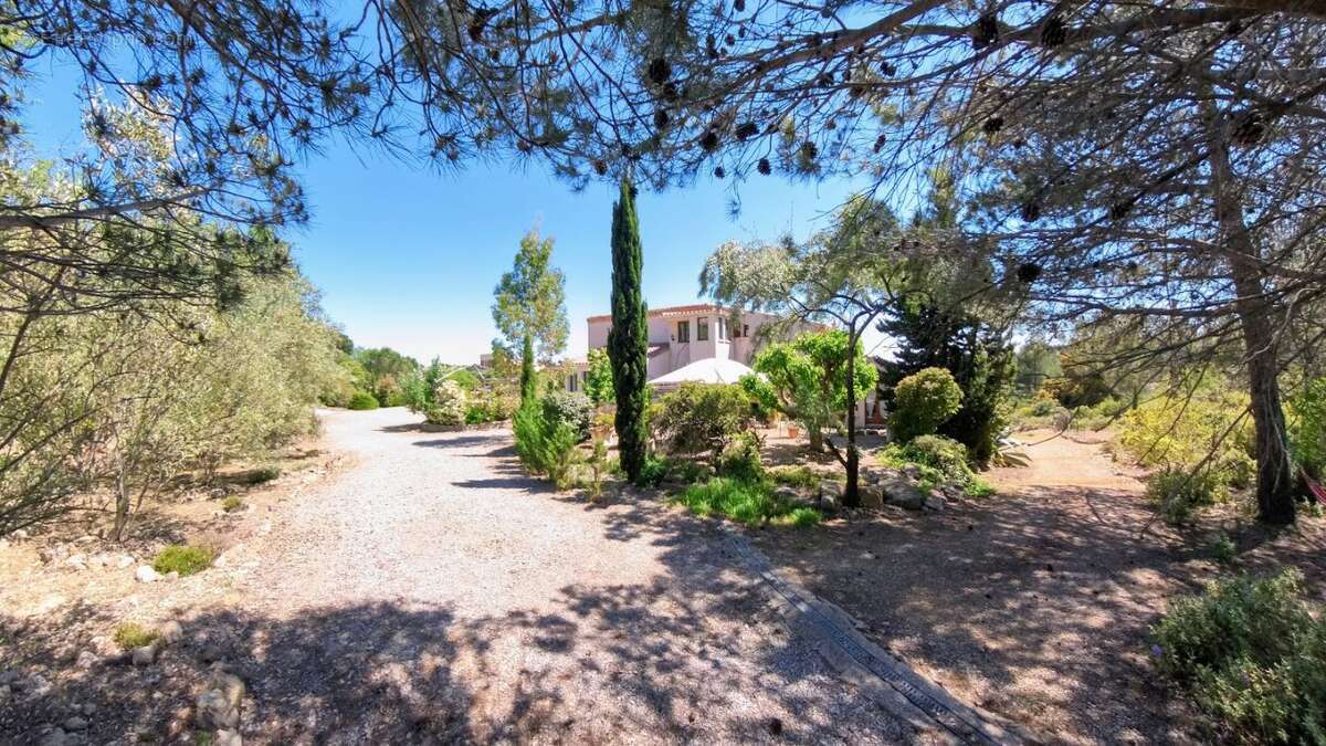 Maison 229 m² à Cesseras  - photo 220