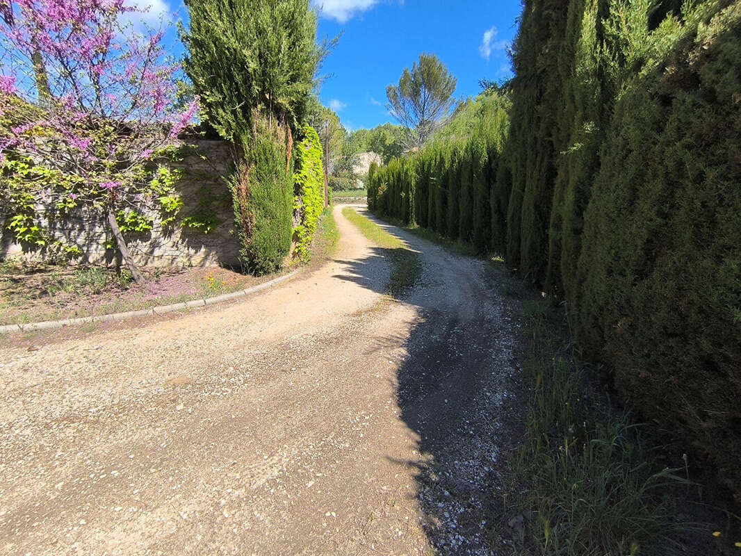 Maison à VAISON-LA-ROMAINE