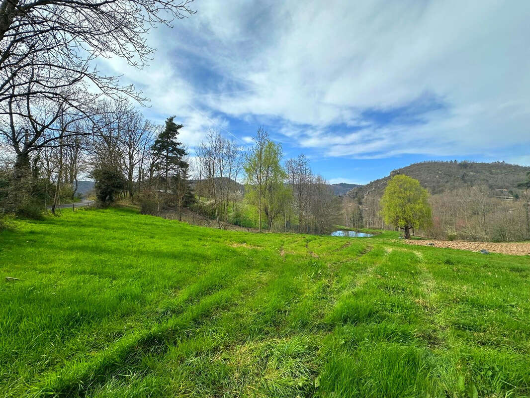 Terrain à AUREC-SUR-LOIRE