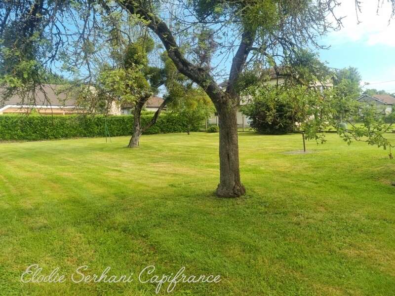En Exclusivité maison 123m2 / parcelle 1315m2 à Courcelles-les-montbéliard dont parcelle constructible - photo 2