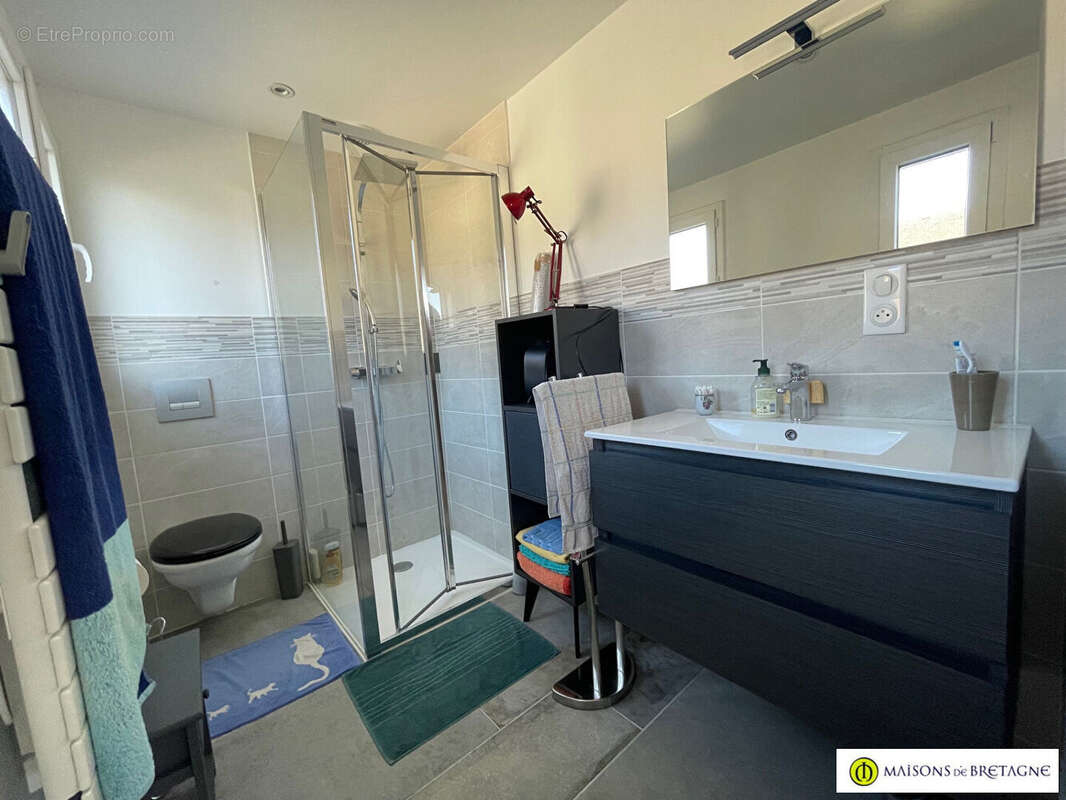 Maison à SAINT-THURIEN