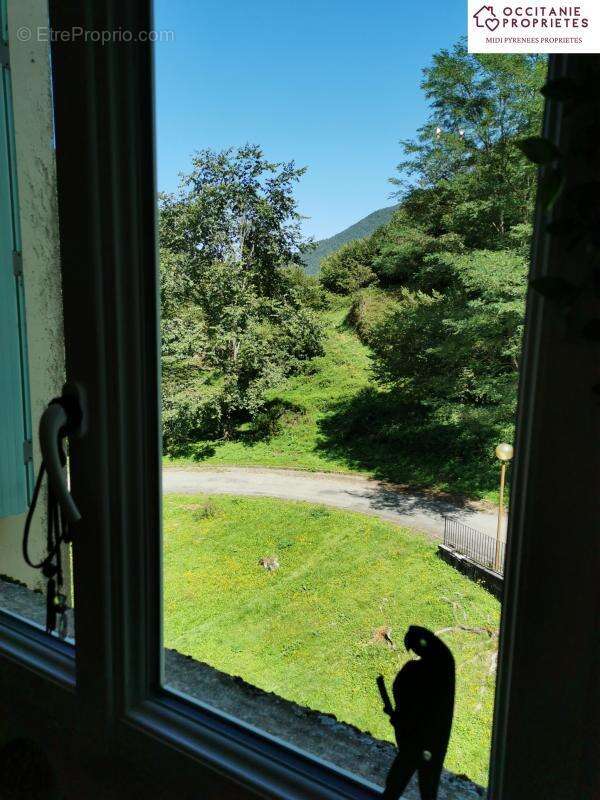 Appartement à COUFLENS