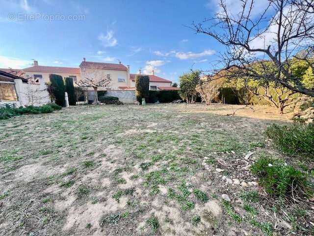 Terrain à SAINT-FELIU-D'AMONT