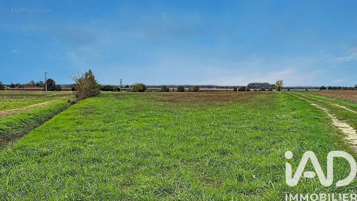 Photo 1 - Terrain à MANTHELAN