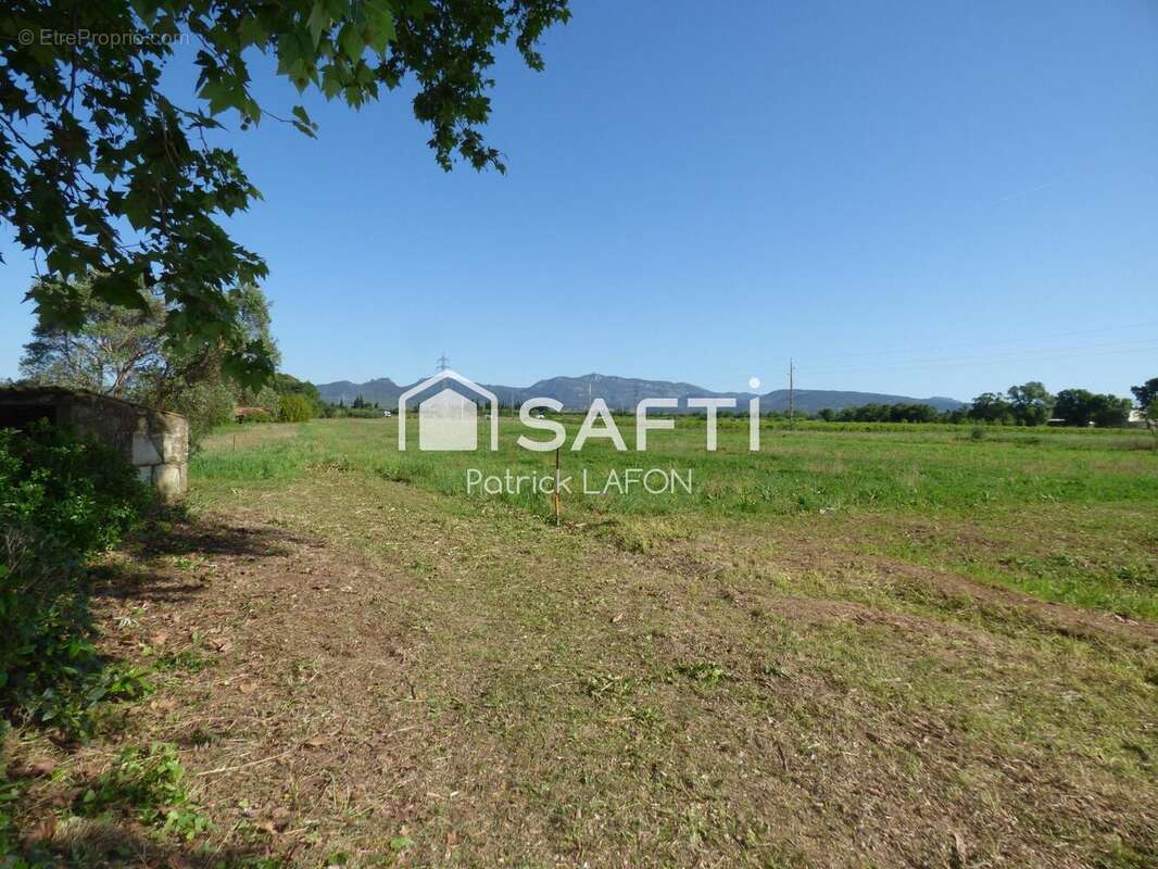 Photo 6 - Maison à SAINT-ANDRE-DE-SANGONIS