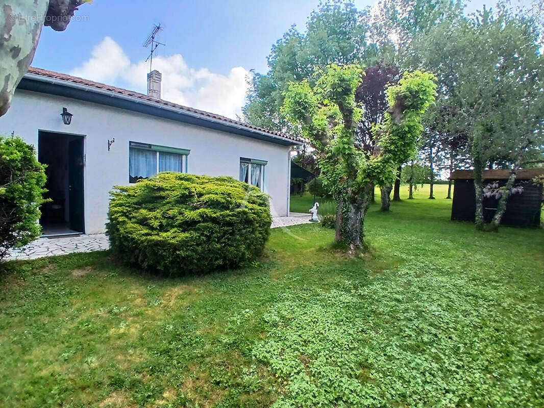Maison St Georges Des Coteaux 3 pièce(s)  avec  parcelle de 3100 m² - photo 2