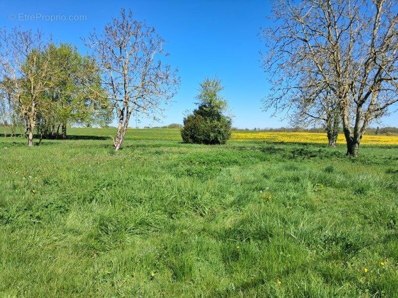 Terrain à TAUXIGNY