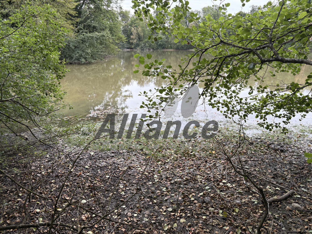 Etang  de  7  ha  50  d eau  entre  luxeuil  et  lure  avec  cabane  de  pecheur - photo 16