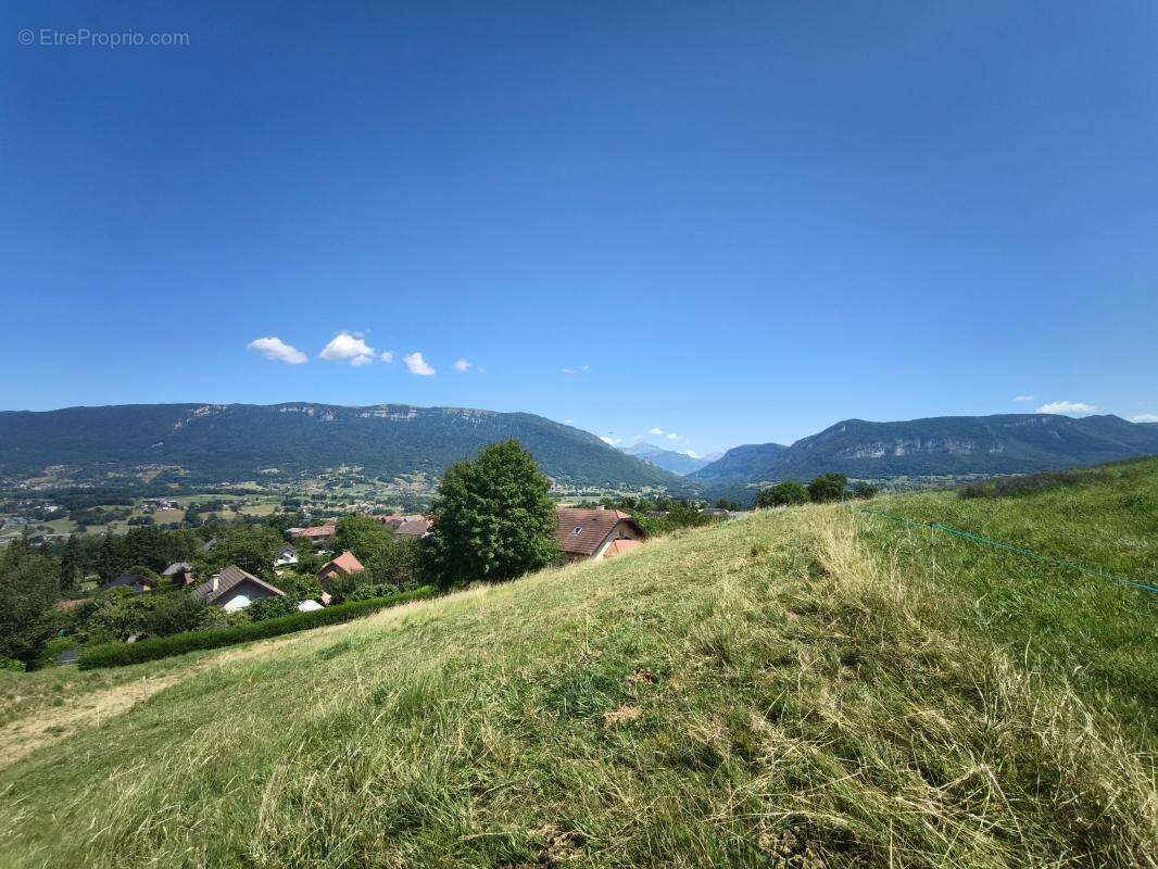 Terrain à HERY-SUR-ALBY