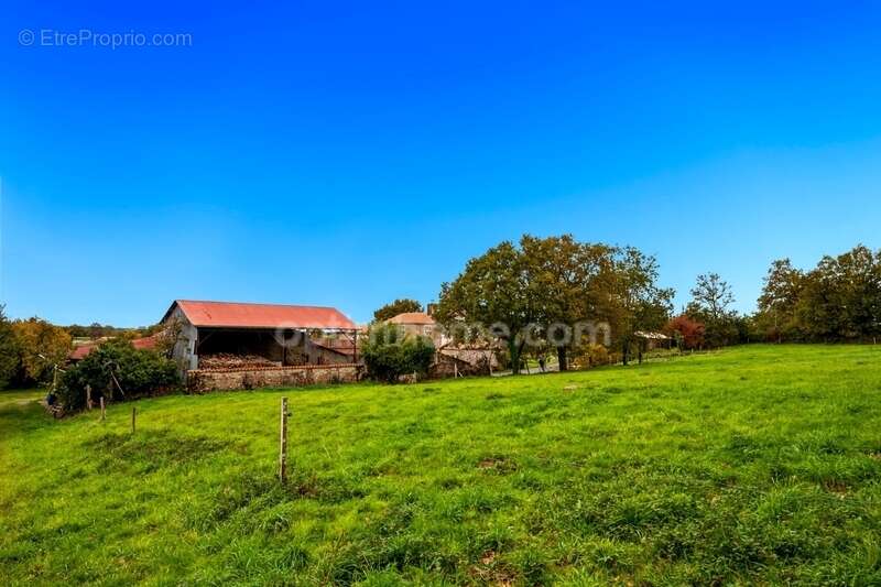 49300 Cholet - corps de ferme – 4 ha – Potentiel gîtes ou maison d'hôtes - revenus fonciers et locatifs - charme de l'ancien - d - photo 15