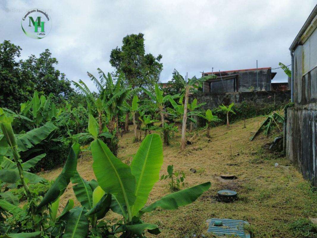 Commerce à SAINTE-MARIE
