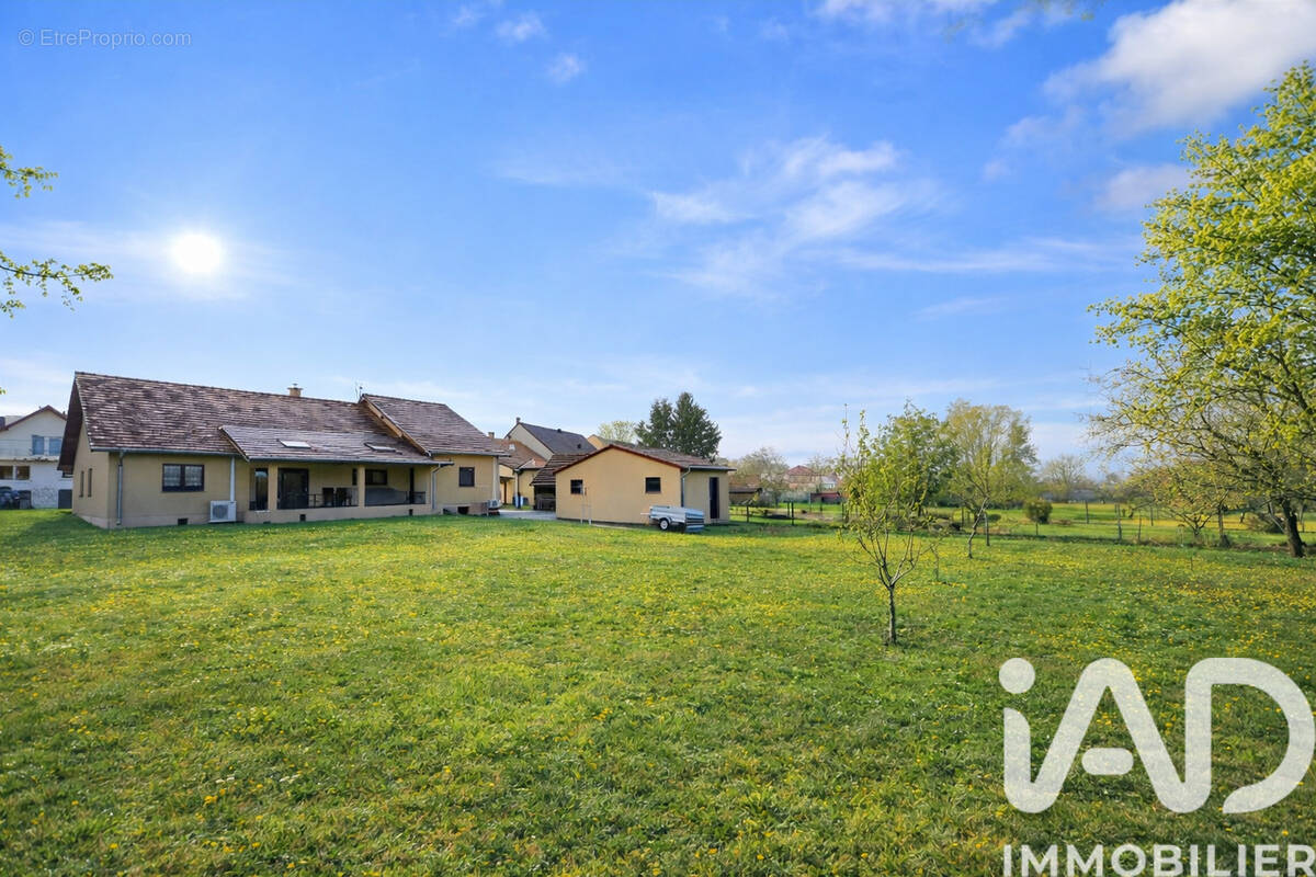 Photo 1 - Maison à HERBITZHEIM