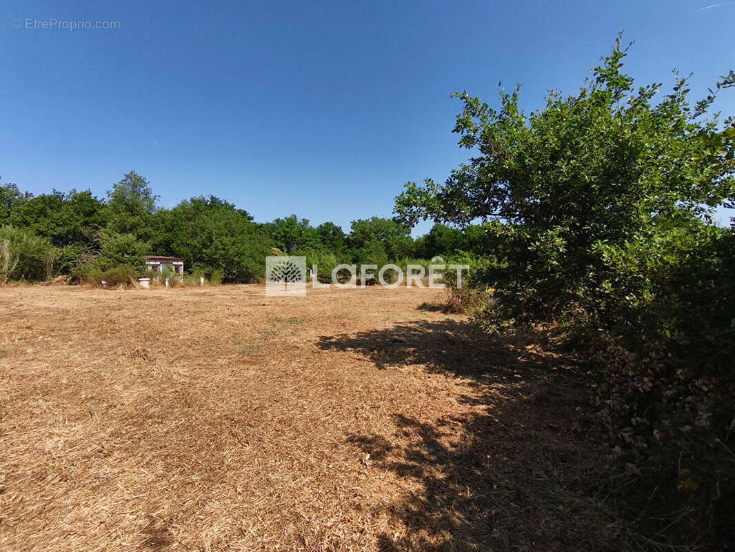 Terrain de loisirs non constructible avec cabanon Maureillas-Las-Illas - photo 5