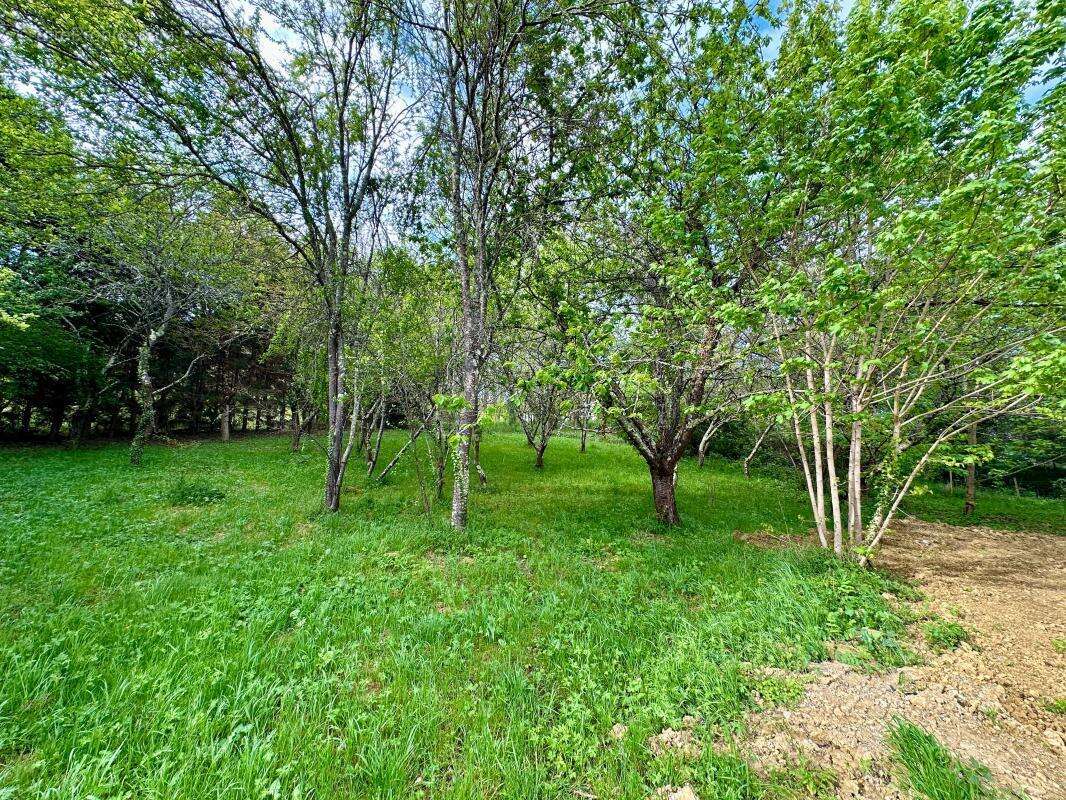 Maison 4 chambres, grand jardin - photo 18