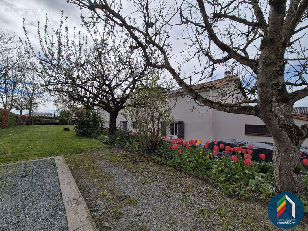 Maison à TALLUD-SAINTE-GEMME